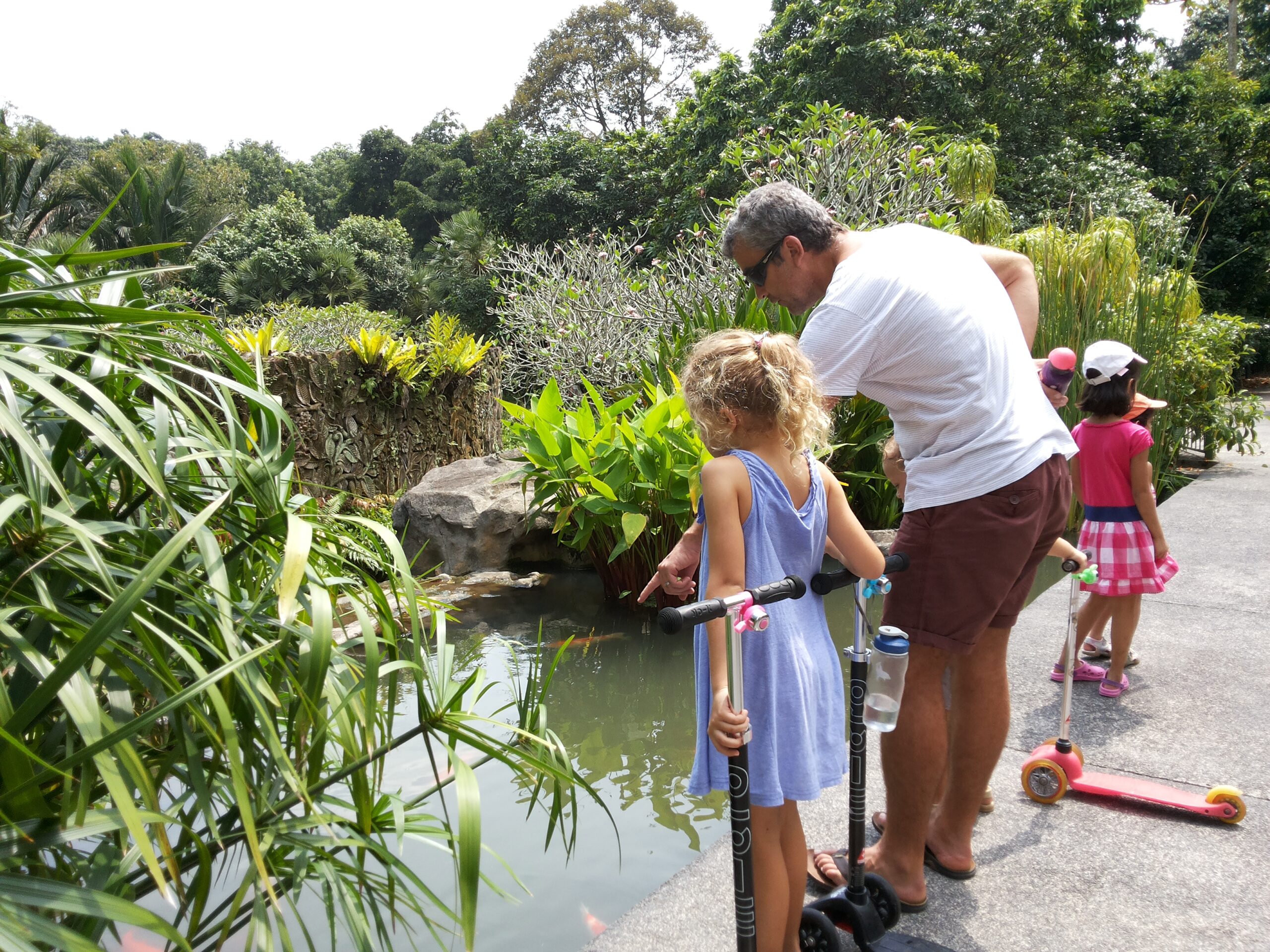 Wisata Singapura, Wajib ke Singapore Botanic Gardens Wisata Singapura, Wajib ke Singapore Botanic Gardens