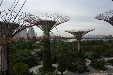 Gardens By The Bay, Tempat Wisata Murah di Singapura Gardens By The Bay, Tempat Wisata Murah di Singapura