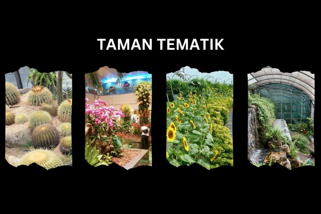 atraksi gratis di changi