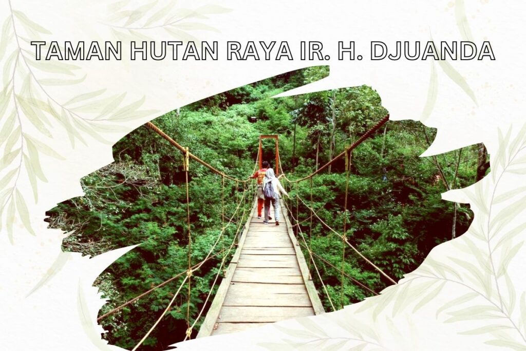 Taman Hutan Raya Ir. H. Djuanda