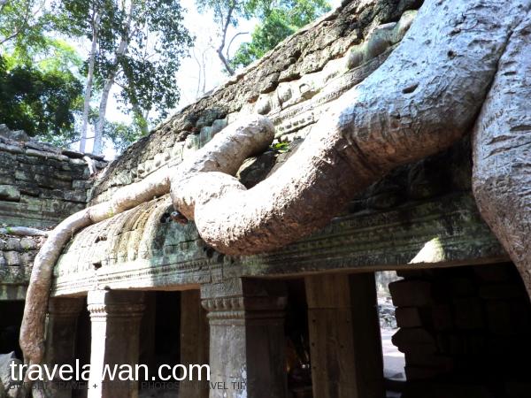 Panduan Wisata Ke Angkor Wat, Siem Reap, Travelawan