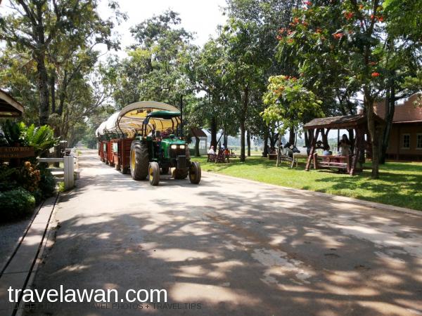 Wisata Thailand, Serunya ke Chokchai Farm, Khao Yai, Travelawan