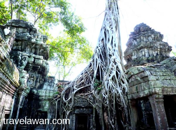 Panduan Wisata Ke Angkor Wat, Siem Reap, Travelawan